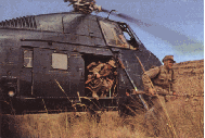 Commando-heliporte.gif (18010 bytes)